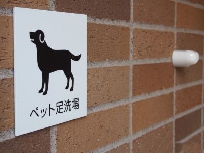 ペット足洗い場イメージ｜ザ・パークハウス代々木上原