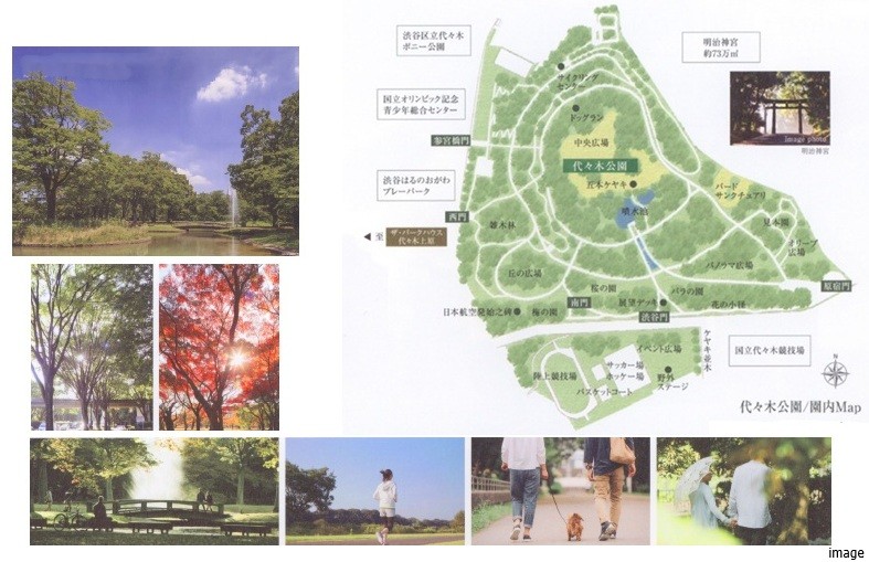 代々木公園｜ザ・パークハウス代々木上原